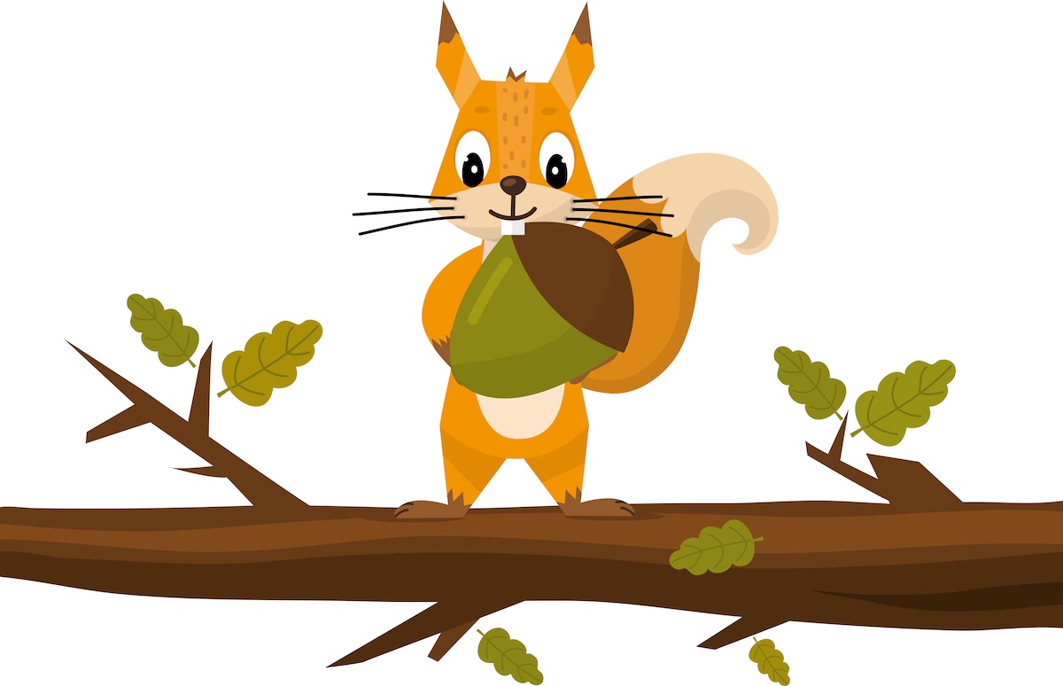 Cute cartoon squirrel Holding Acorn. Funny little brown squirrel collection. Emotion little animal. Cartoon animal character design. Flat vector illustration isolated on white background.